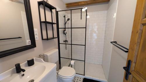 a bathroom with a shower and a toilet and a sink at Jera Pince és Vendégház in Somlóvásárhely