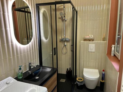 une salle de bain avec une douche, un lavabo et des toilettes dans l'établissement Cosy Vintage - Centre ville, à Troyes
