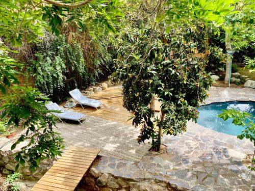 a garden with a wooden deck and a swimming pool at La Casa entre los Árboles en el Valle de Elqui Montegrande in Paihuano