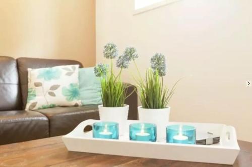 a coffee table with blue bowls and plants on it at Huis in de polder in Kamperland