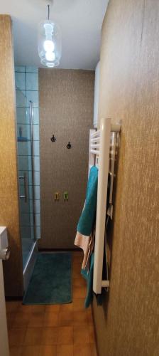 La salle de bains est pourvue d'une douche et d'une serviette accrochée au mur. dans l'établissement Appartement Studio T1bis ALOHA avec terrasse en front de mer, à Capbreton