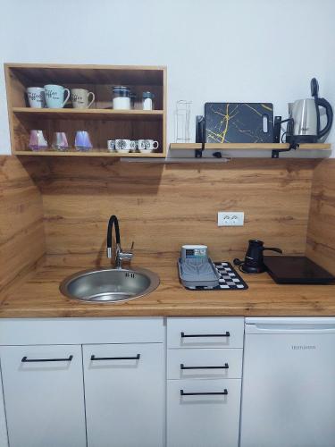 Virtuvė arba virtuvėlė apgyvendinimo įstaigoje Marko Apartment Ohrid