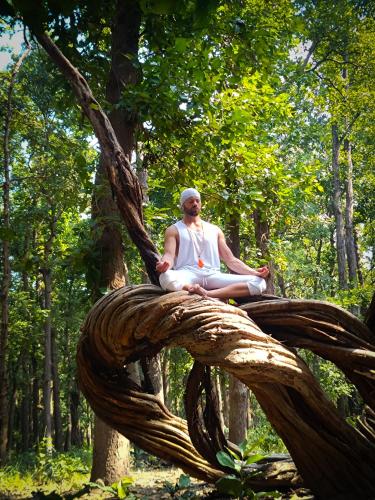 a man sitting on top of a tree branch at Mr. B's Place in Bhurkīā
