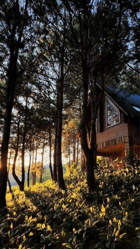 a person standing in front of a house with trees at The Nordic Village - Evergreen Retreat in Mộc Châu