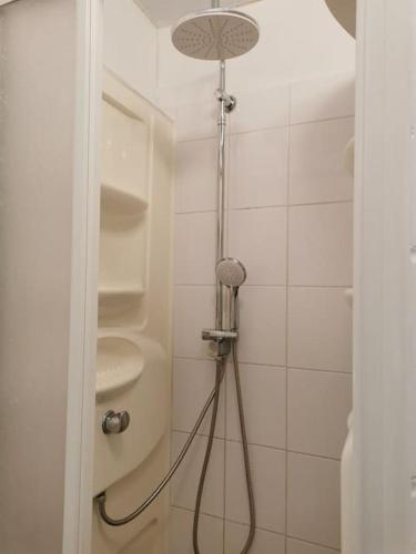 La salle de bains est pourvue d'une douche, de toilettes et d'un pommeau de douche. dans l'établissement Gîte Le Rouge Gorge 2 personnes, à Sainte-Marie-Laumont