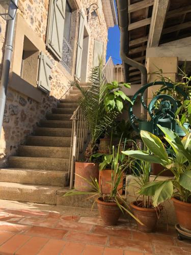 a stairway with potted plants in front of a building at Maison Mia Majorelle in Roujan
