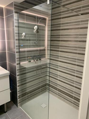 une salle de bain avec une douche en verre avec un lavabo dans l'établissement Strasbourg centre en 15 minutes, à Strasbourg