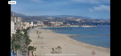 a view of a beach with palm trees and the ocean at 5 minutos hacia el mar in El Campello