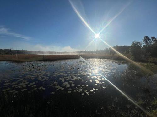 Gambar di galeri bagi Half Moon Lake Retreat di Melrose
