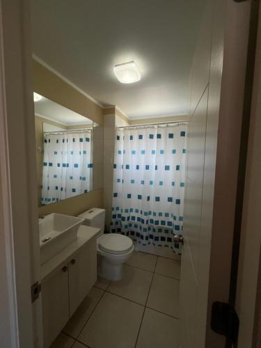a bathroom with a white toilet and a sink at Casa condominio Pucón in Pucón