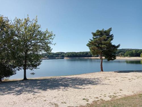 deux arbres sur la rive d’une masse d’eau dans l'établissement Gîte paisible en bord de lac, à Saint-Gérons
