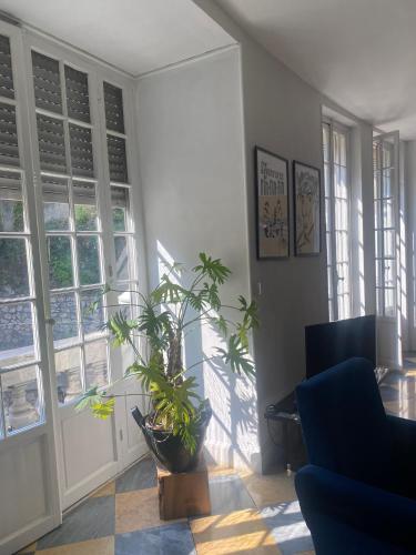 un salon avec un canapé bleu et une plante dans l'établissement Sublime appartement Garibaldi, à Nice