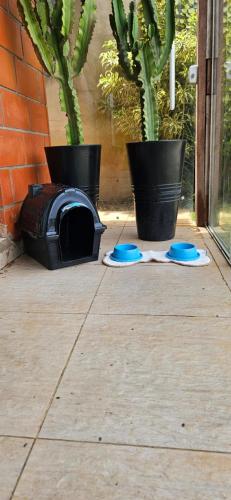 two blue frisbees on a patio with two plants at Chalé Buena Vista in Mairinque