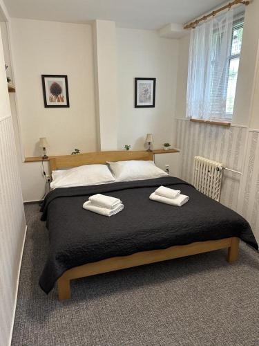 a bedroom with a large bed with two towels on it at penzion Vysoká Stráž in Pec pod Sněžkou