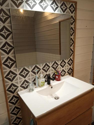 une salle de bain avec un lavabo blanc et un miroir dans l'établissement Appartement Dijon centre ville, à Dijon
