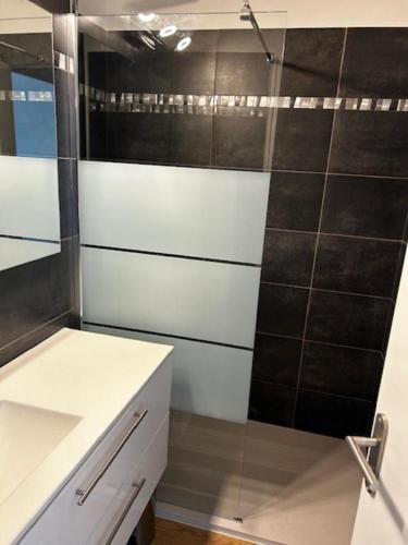 - une cuisine avec une porte de douche en verre dans l'établissement Le Renaissance 203, à Charvonnex