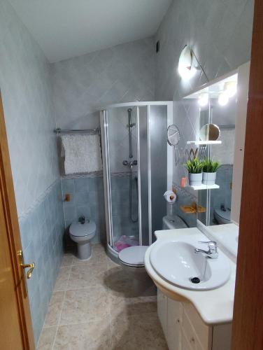 a bathroom with a shower and a toilet and a sink at Apartamentos La Relojera 2 in Jarandilla de la Vera
