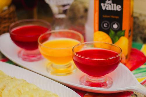 Drinks på Pousada Brisa de Paraty