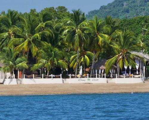 un gruppo di palme su una spiaggia vicino all'acqua di Doany Beach ad Antafondro