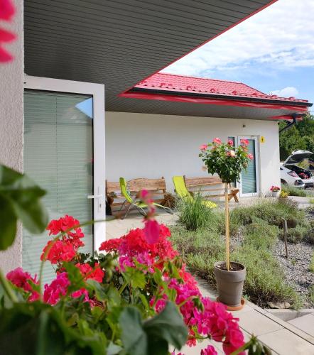 Apartamenty Pod Gruszą