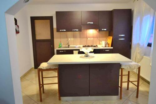 Pensiunea Lui Nea Nicu Lepsa في ليبسا: مطبخ مع حوض وطاولة عمل