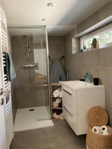 une salle de bain avec une douche et un lavabo et une cabine de douche en verre dans l'établissement Amelie - petite maison alsacienne, à Blotzheim