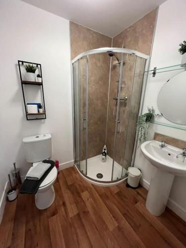 a bathroom with a shower and a toilet and a sink at West House Mews C in Dunston