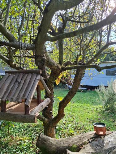 a wooden bird house sitting on a tree at Gomba Kert in Nagymaros