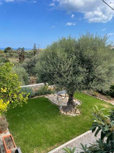 Κήπος έξω από το Perfect home away from home