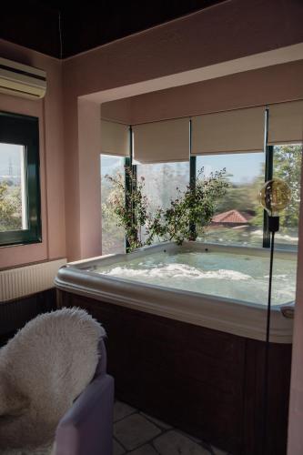 Foto Olympus Theophilia villas 6