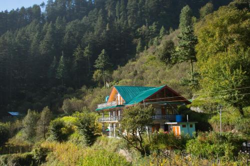 a house with a green roof on a hill at Exotica The Himalayan Ark in Sainj