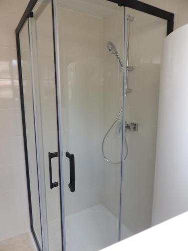 une cabine de douche avec une porte en verre et une douche. dans l'établissement Maison aux portes de Chambord-zoo Beauval 40 mn, à Bracieux