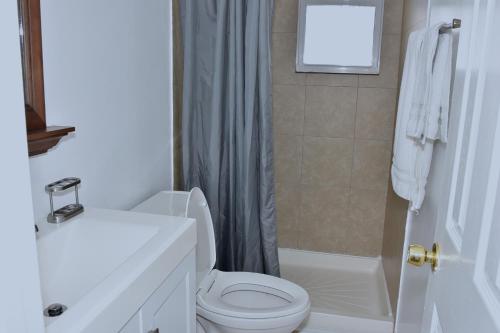 a white bathroom with a toilet and a shower at Handsome Home Renovated - close to Metro in Lanham