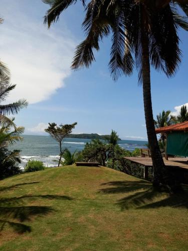 a view of the ocean from a resort with palm trees at Hostal Surfers Paradise in Santa Catalina