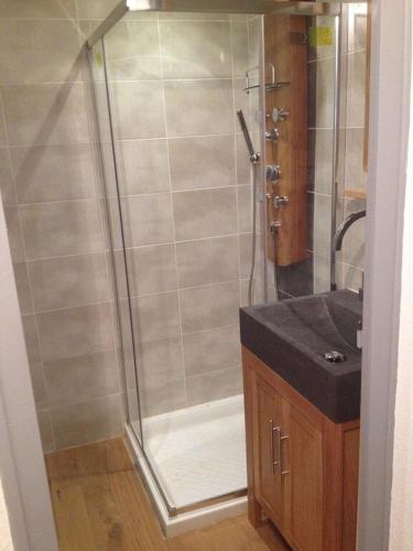une salle de bain avec douche et lavabo dans l'établissement L'appartement enchanteur d'Angon, à Talloires