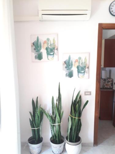 a row of potted plants on a wall at Casa d'Annarè in Casa Santa
