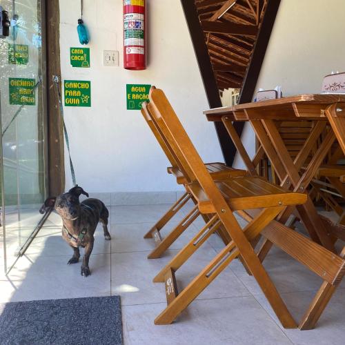 Et eller flere kæledyr der bor med gæster på Acalanto Inn