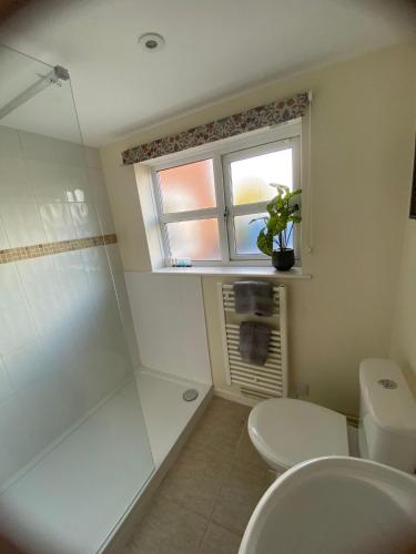 a bathroom with a shower and a toilet and a window at Stone Hill Farm B&B in Shrawley