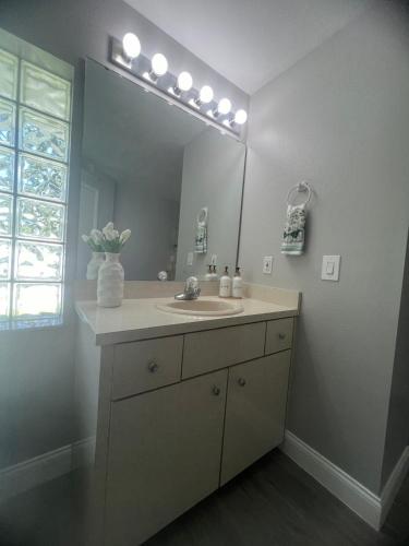 a bathroom with a sink and a large mirror at Peaceful Florida Studio in Lakeland