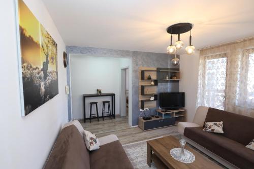 Et opholdsområde på Aber Apartmani Kopaonik