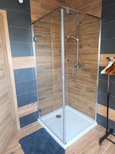 a shower with a glass enclosure in a bathroom at Na břehu Těrlicka in Horní Těrlicko