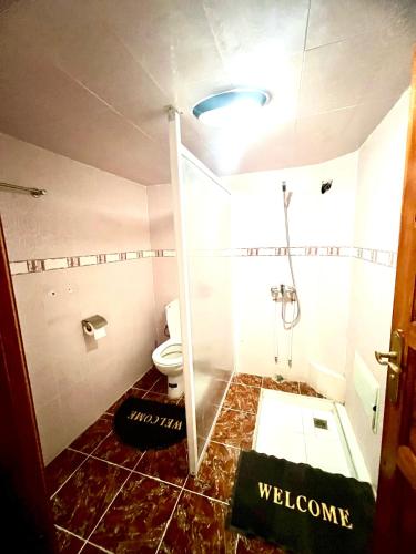 a bathroom with a shower and a toilet at Dar Calme Chez El Bouhali in Skoura
