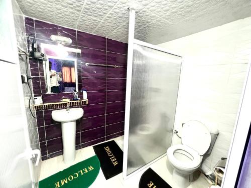 a bathroom with a toilet and a sink and a mirror at Dar Calme Chez El Bouhali in Skoura