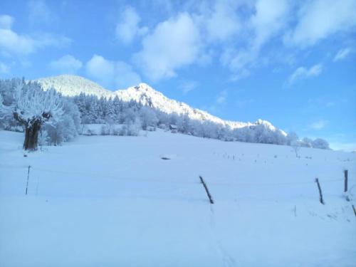 Photo de la galerie de l'établissement Bel appartement récent dans maison en Chartreuse, à Saint-Thibaud-de-Couz