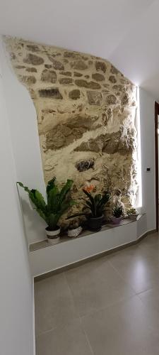 a room with potted plants on a wall at All inBasilicata Bed & Breakfast in Baragiano