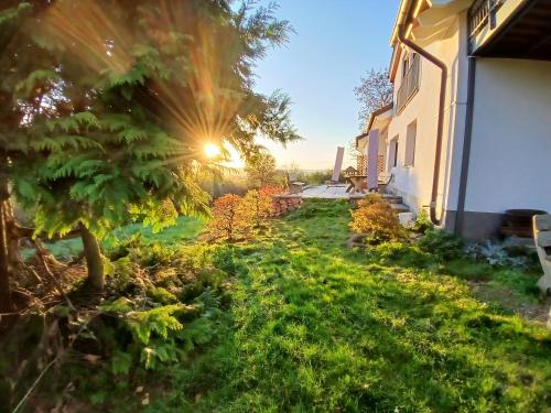 a view of a yard with a house and a tree at Hof Sorgenfrei in Buch