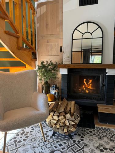 a living room with a chair and a fireplace at Emerald Chalet in Praid