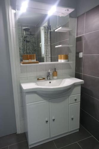 une salle de bain avec un lavabo blanc et un miroir dans l'établissement Maison au calme dans village fleuri - Jardin clos, à Locmaria