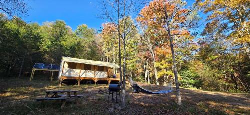 a tent and a hammock in the woods at Charming enclave Luxury tent in the woods Tent 3 Bambi's playground in Lenoir