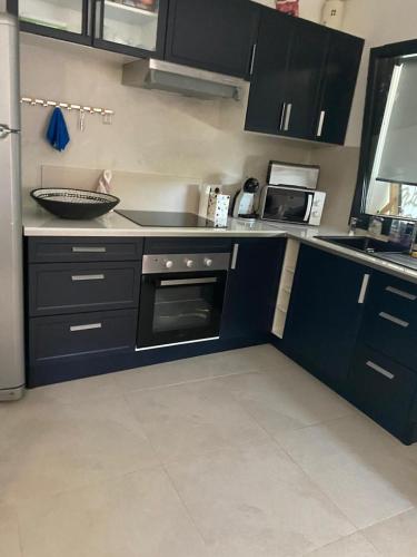 - une cuisine avec des armoires bleu foncé et un évier dans l'établissement Maison privée dans un petit domaine Cannes, à Cannes